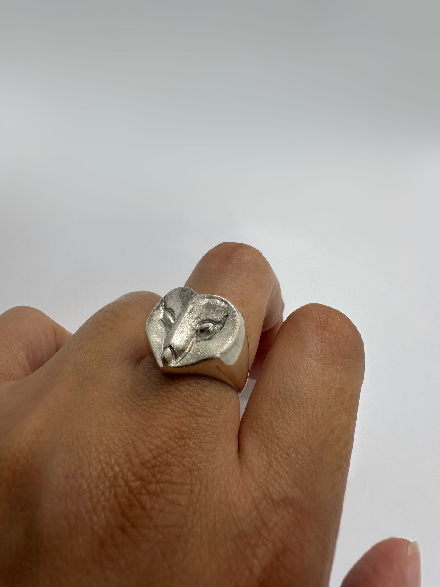 Barn owl ring